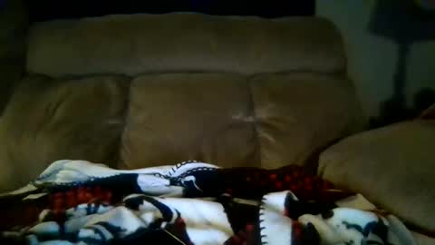 Snapshot of lickeypus9 chatting on 02.15.26 lickeypus online show from 02.15.26