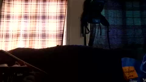 lildurke65 online show from 02.10.26