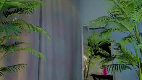 Snapshot of lililok101 chatting on 11.19.25 lililok101 online show from 11.19.25