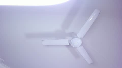 Lili  Marcus online show from 01.04.25