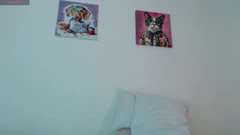 kata online show from 11.12.25