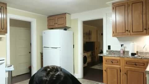 Snapshot of lilly_adams88 chatting on 11.24.25 lilly_adams88 online show from 11.24.25