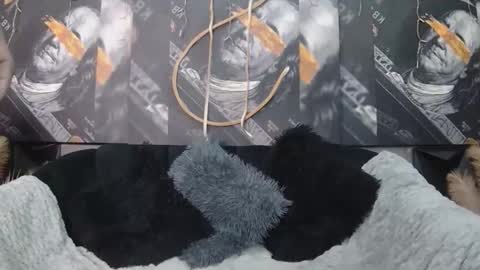 lilmissbaddiexxx online show from 05.05.26