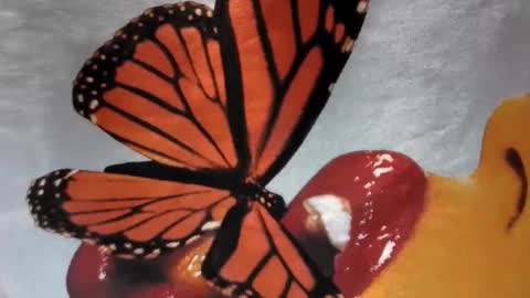 Snapshot of lilvioletxxx chatting on 11.29.25 Little Violet online show from 11.29.25