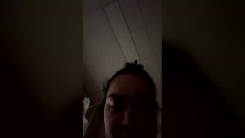 lily2fly online show from 04.28.26