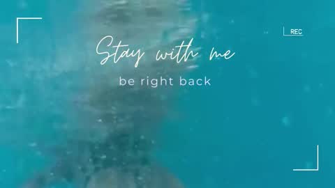 Lily online show from 11.01.25