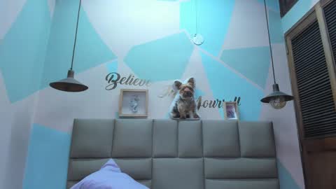 Lily online show from 02.25.25