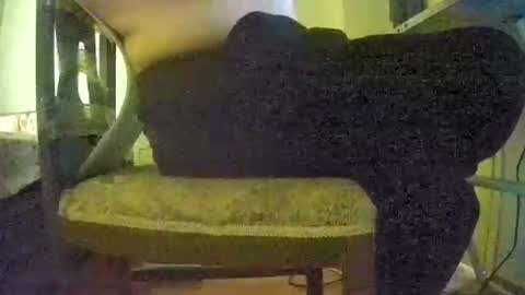 lilylovelyman50 online show from 06.22.26