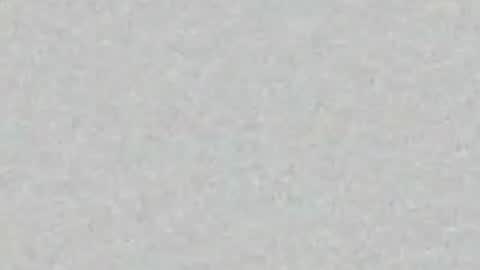 lily online show from 04.23.26