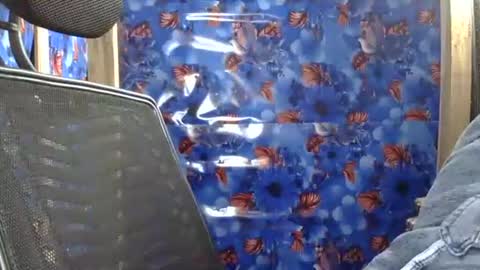 Snapshot of limaakter246618 chatting on 02.16.26 limaakter246618 online show from 02.16.26