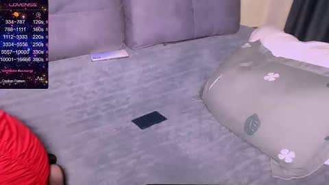 Snapshot of lina_owl chatting on 11.25.25 Lina online show from 11.25.25