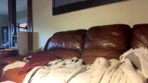 Richie Rich online show from 12.06.24