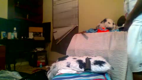 Richie Rich online show from 01.05.25