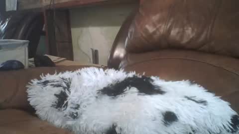 Snapshot of lincolnlongdick chatting on 02.20.26 Richie Rich online show from 02.20.26