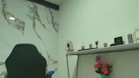 Snapshot of lindsey8 chatting on 02.11.26 Lindsey online show from 02.11.26