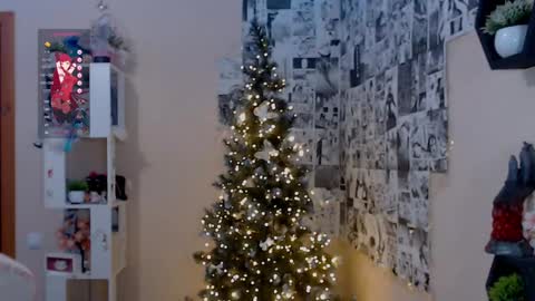 Lina online show from 12.14.24