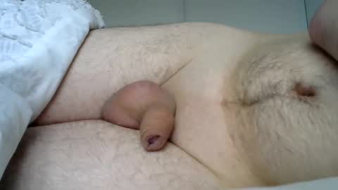 lion2662 online show from 01.03.25