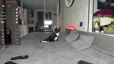 Snapshot of lisa__fox chatting on 11.17.25 Lisa online show from 11.17.25