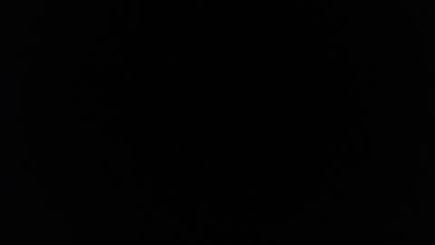 Snapshot of little_bunny_v chatting on 02.18.26 little_bunny_v online show from 02.18.26