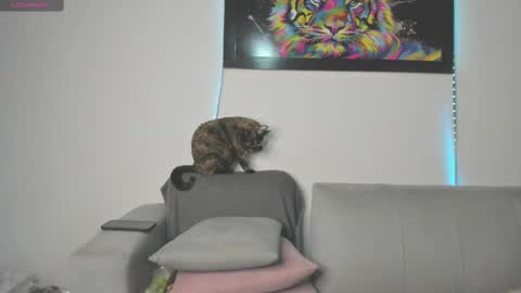 Snapshot of little_caro13 chatting on 03.11.25 Independent model carolina online show from 03.11.25