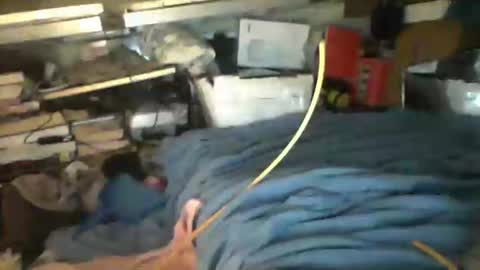 littlejay             littlejay online show from 10.04.25