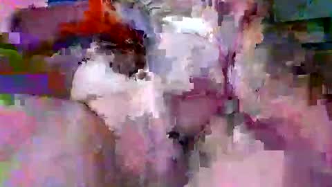 litwinpaweel online show from 04.14.26