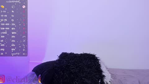 Snapshot of lizcastl chatting on 12.02.24 lizcastl online show from 12.02.24