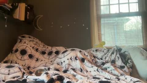 lizzybunny online show from 03.05.25