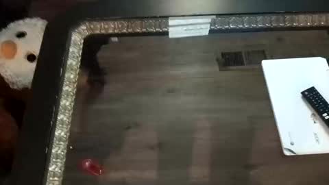 Snapshot of ljandcherry chatting on 11.01.25 LjCherry online show from 11.01.25