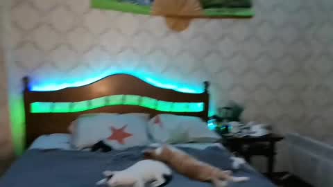 Sevy online show from 01.08.25