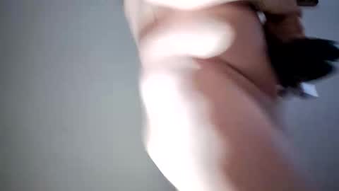 lllortx online show from 02.17.26