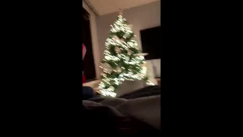 Snapshot of loadshoo chatting on 12.08.24 Cumshooter online show from 12.08.24