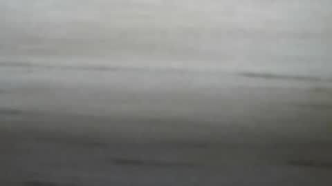 Snapshot of lockedpeepee chatting on 01.08.25 lockedpeepee online show from 01.08.25