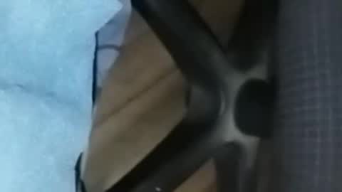 loco_boy007 online show from 02.16.26