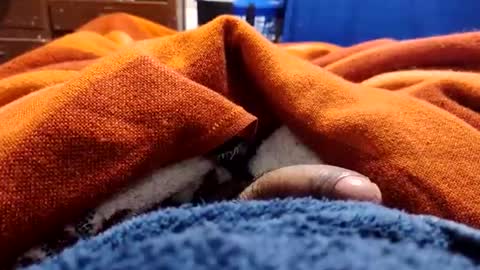 loganncky online show from 03.05.26