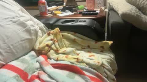 logical12345 online show from 12.01.25