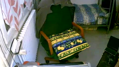 Snapshot of lokoum39 chatting on 12.02.24 lokoum39 online show from 12.02.24