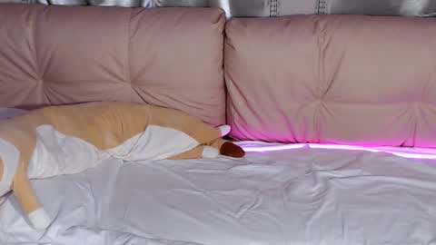 lolacash777 online show from 02.17.26