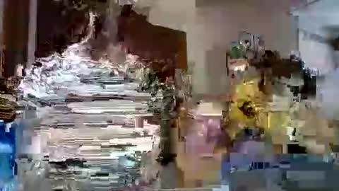 Snapshot of lolahueso chatting on 02.12.25 LOLA HUESO y ERIC online show from 02.12.25