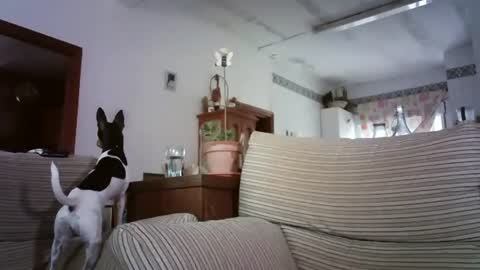 Snapshot of lolahueso chatting on 10.06.25 LOLA HUESO y ERIC online show from 10.06.25