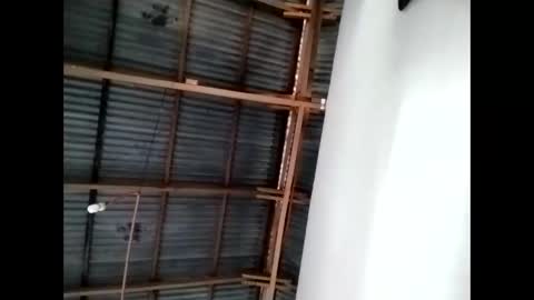 tey online show from 11.12.25