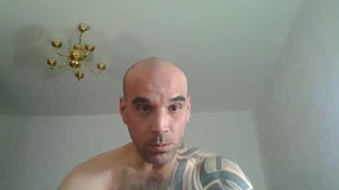 lolotatto online show from 04.03.26