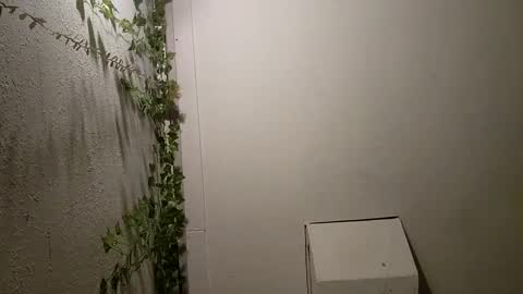 longdick3587 online show from 02.17.25