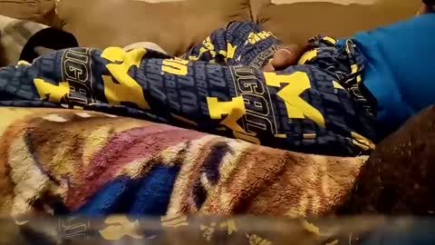 looking4bush online show from 12.25.24