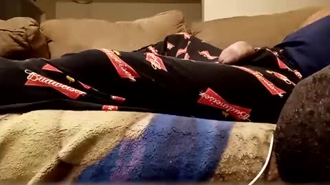 looking4bush online show from 10.11.25