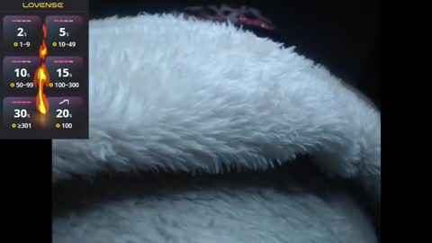 Snapshot of lorenitha_20 chatting on 10.27.25 lorenitha online show from 10.27.25