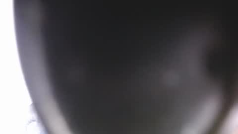 Snapshot of lorex_27 chatting on 07.09.26 lorexxw online show from 07.09.26