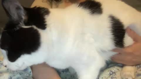 Kate online show from 03.01.26