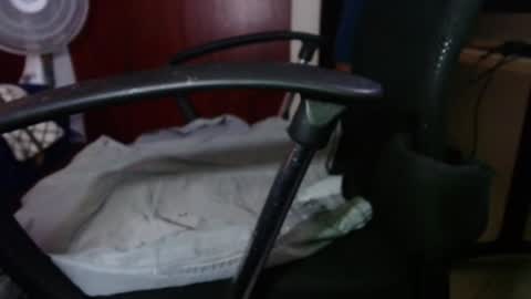 Snapshot of loveandrobotss chatting on 12.06.24 Estiven online show from 12.06.24