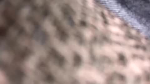 getnaked123 online show from 06.09.26